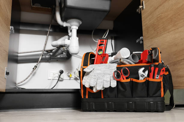 Best Best Plumbers Near Me  in Asbury, IA