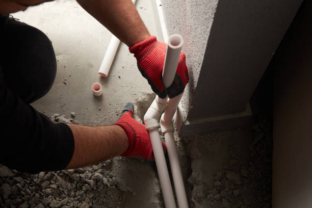 Best Clogged Drain Plumber  in Asbury, IA