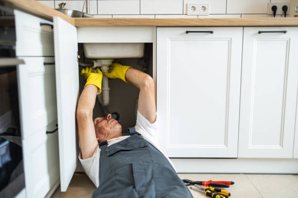 Best Local Plumber Services  in Asbury, IA