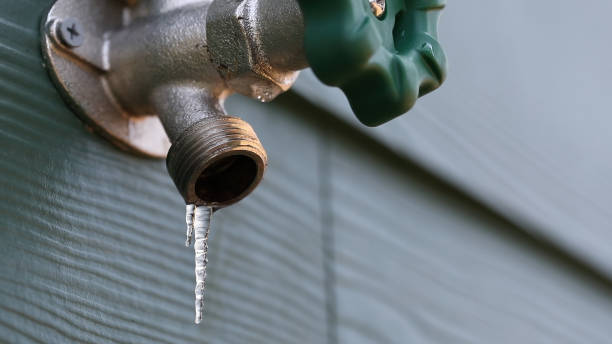 Best Septic Systems  in Asbury, IA